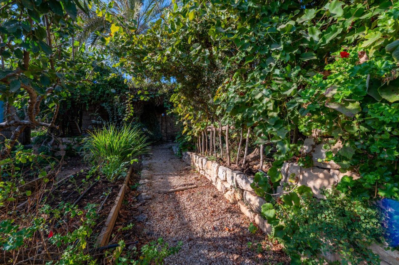 Hemdatya Stone Suites In The Galilee Ilaniya Dış mekan fotoğraf