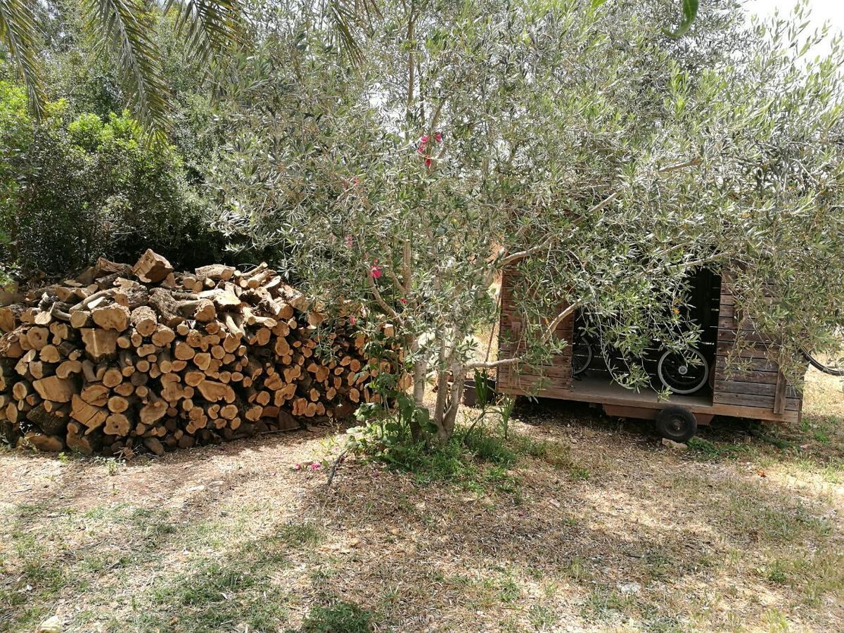 Hemdatya Stone Suites In The Galilee Ilaniya Dış mekan fotoğraf