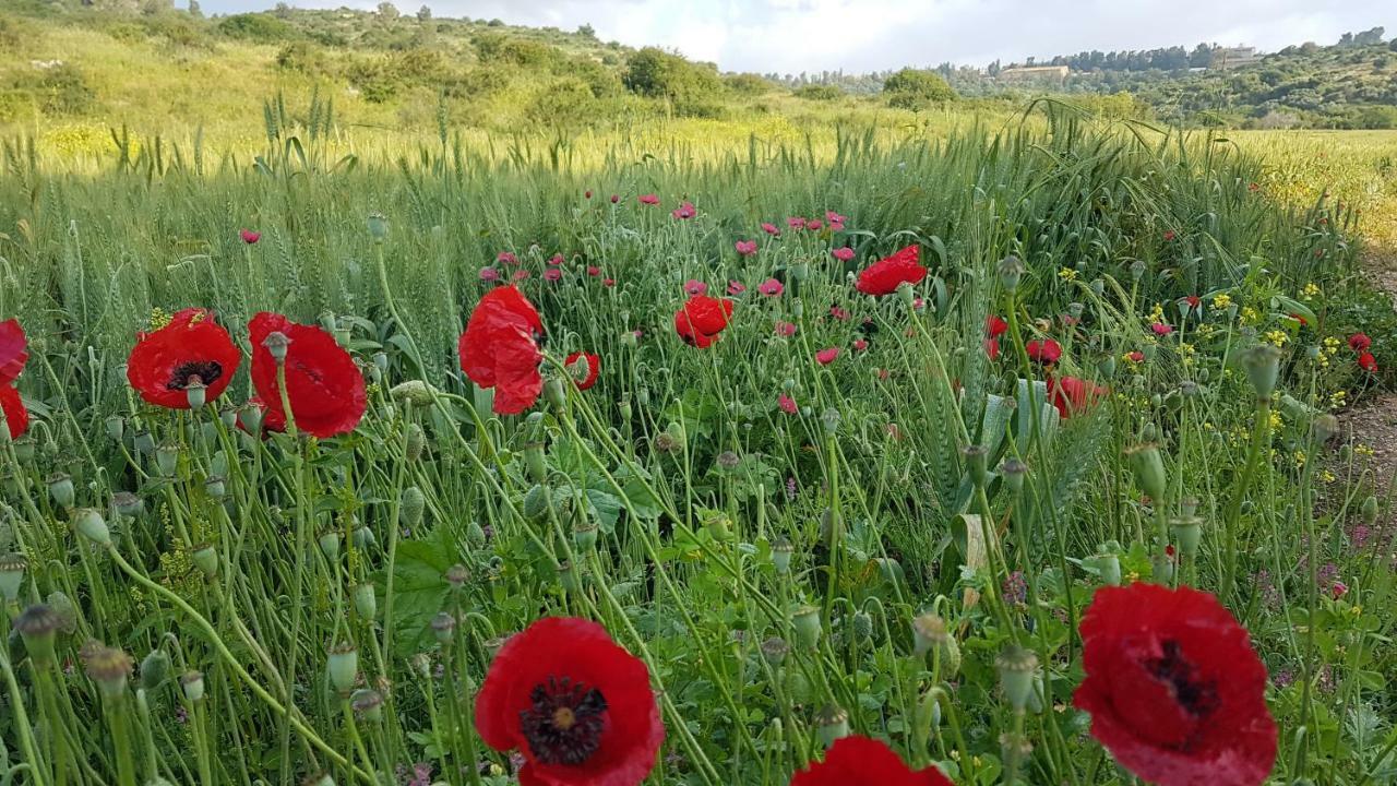 Hemdatya Stone Suites In The Galilee Ilaniya Dış mekan fotoğraf